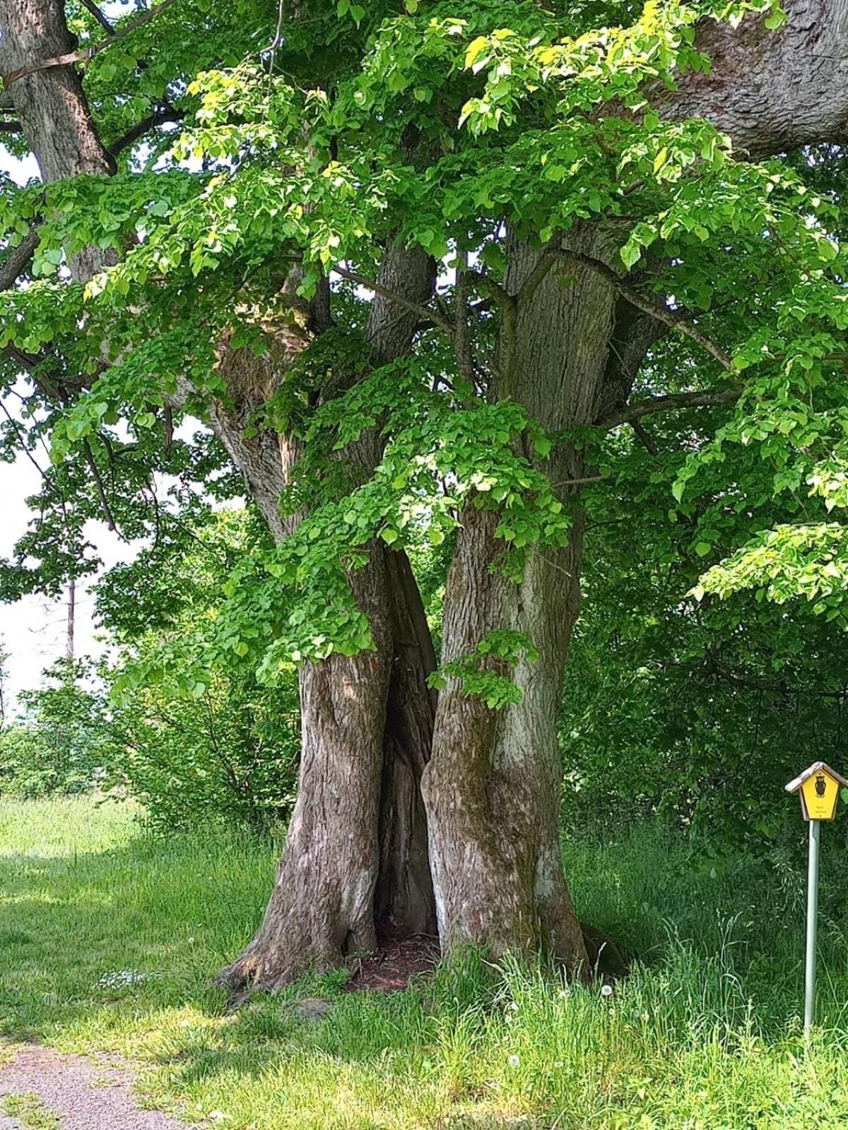 Ferienwohnung Am Hochrhoener Andenhausen Esterno foto