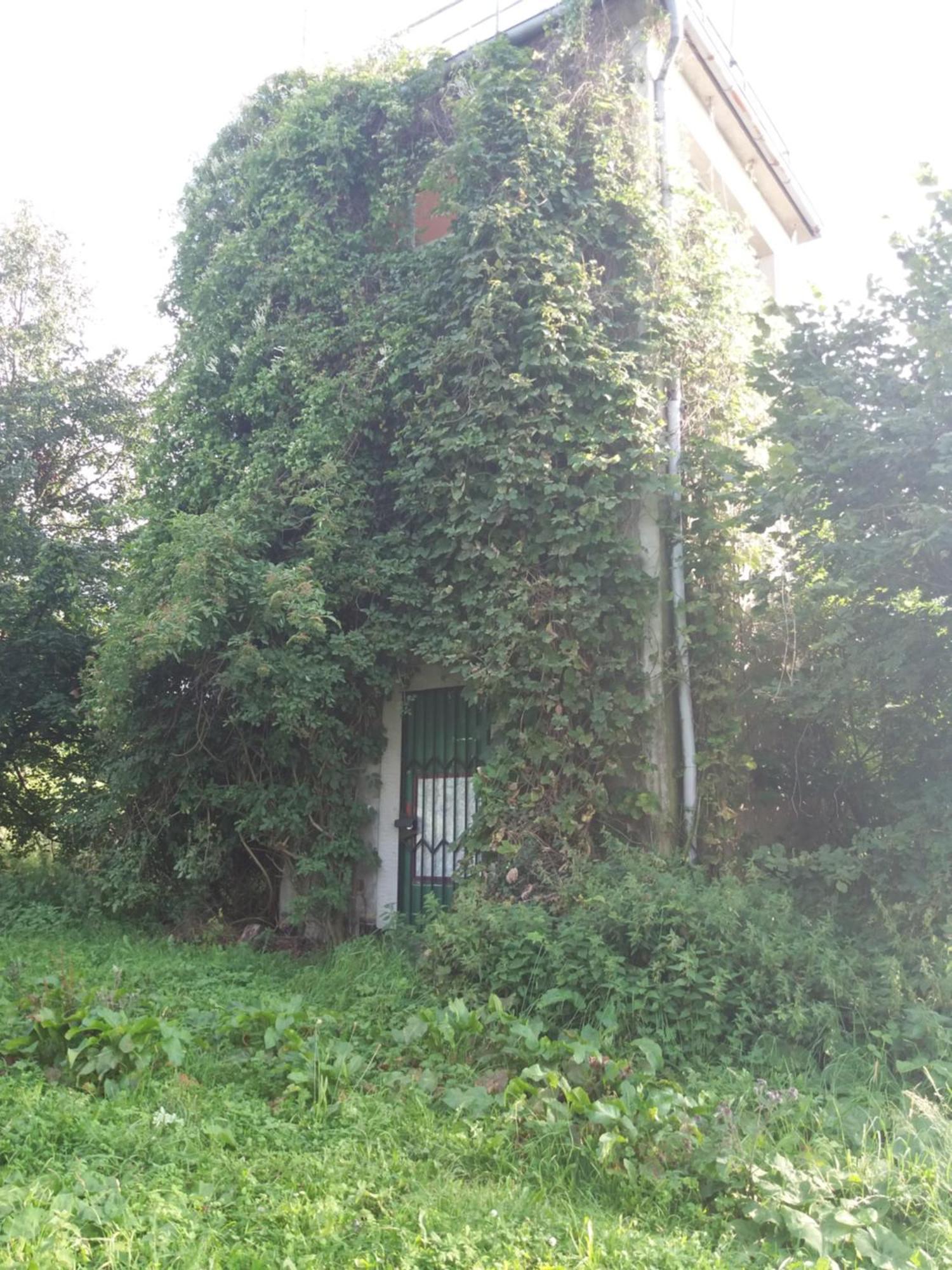 Ferienwohnung Am Hochrhoener Andenhausen Esterno foto
